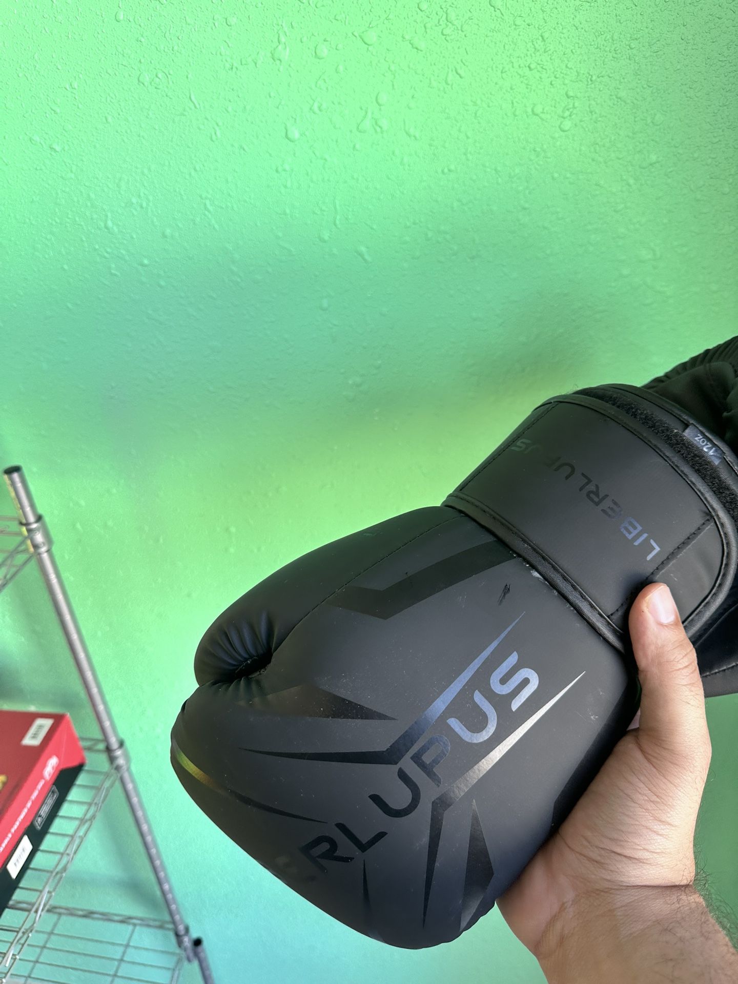 12 Oz boxing Gloves