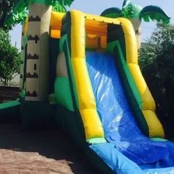 Waterslide For Sale 
