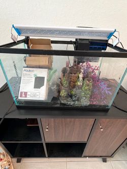 10 gallons Glass Aquarium Tank with LED Light and Filter $150 OBO