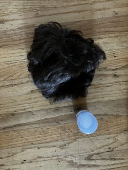 Hair wig and Hair color 