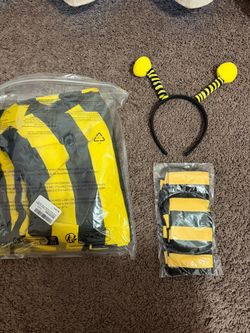 Adult Bee Costume