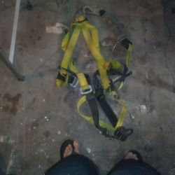 Harness 