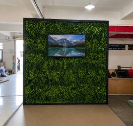 Custom Greenery Back Wall + Wood Floor Platform + TV Mount Ready