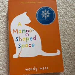 A Mango-Shaped Space by Wendy Mass (2006, Paperback) 