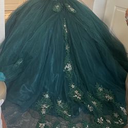 Quinceanera Dress 