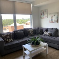 Sofa Couch 