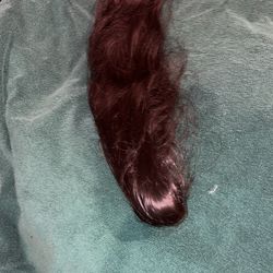 Clip On Ponytail 