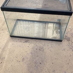 Used 10 Gallon Terrarium Tank
