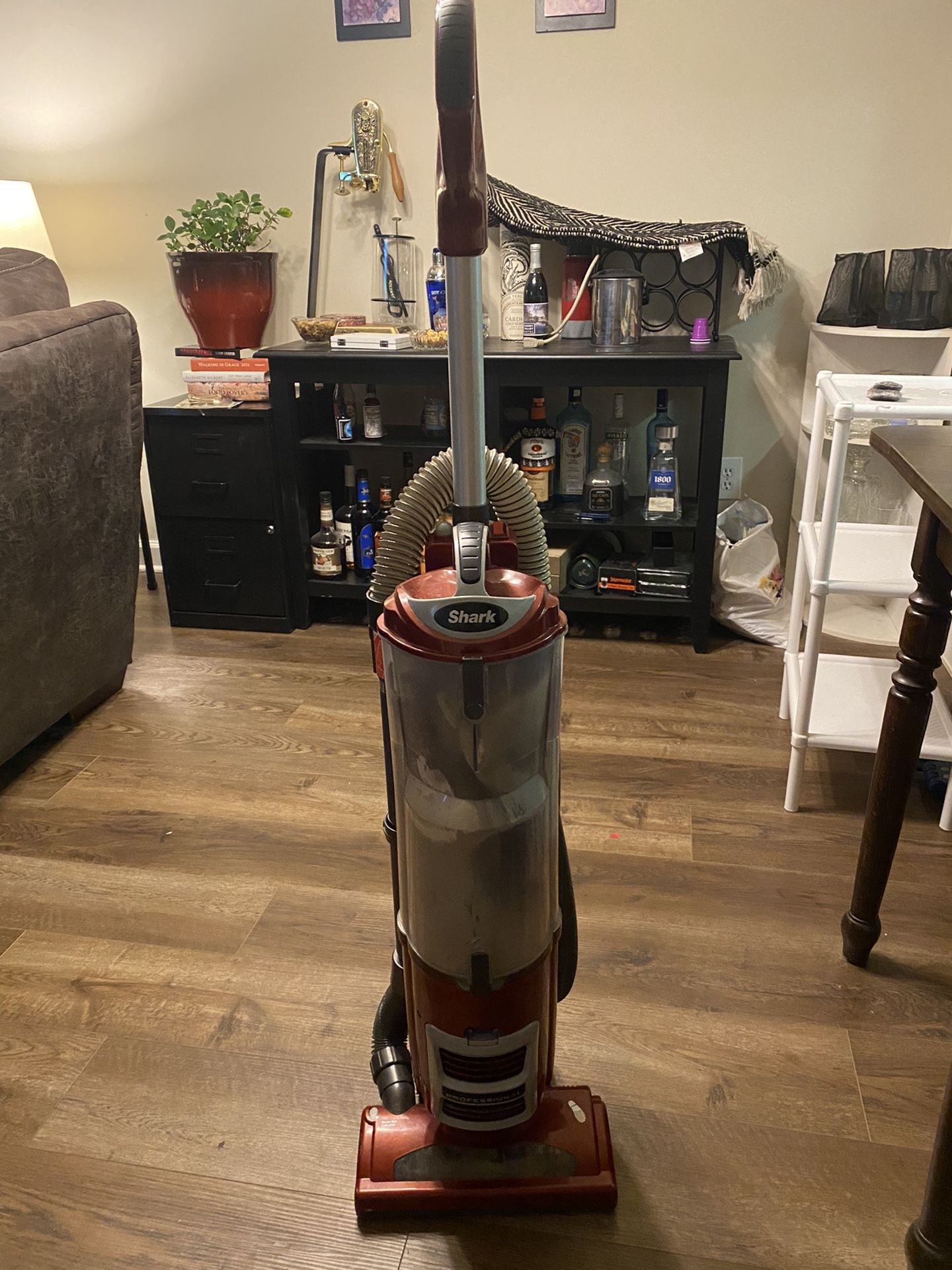 Shark Navigator Professional Upright Vacuum, NV60 