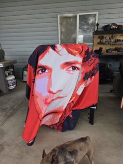 Ashton Kutcher Wall Tapestry And Pillow