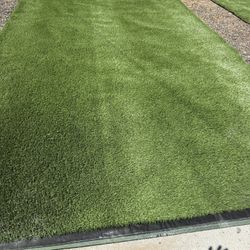 Artificial Grass 