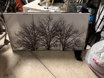 Three Piece Picture Set