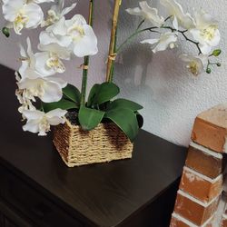 Beautiful Fake Orchid 