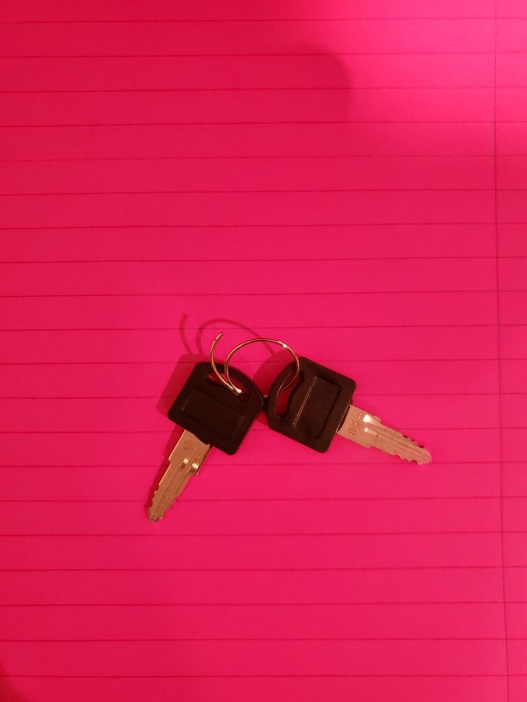 apollo dbx19 125cc dirt bike