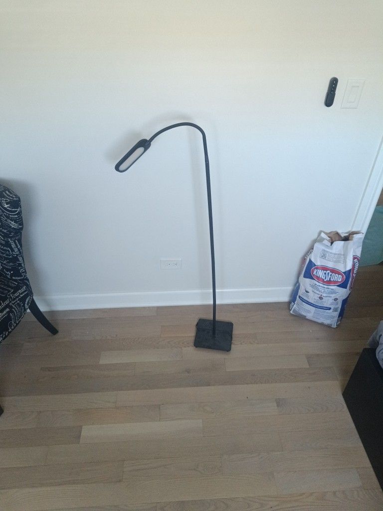 Black LED Gooseneck Floor Lamp