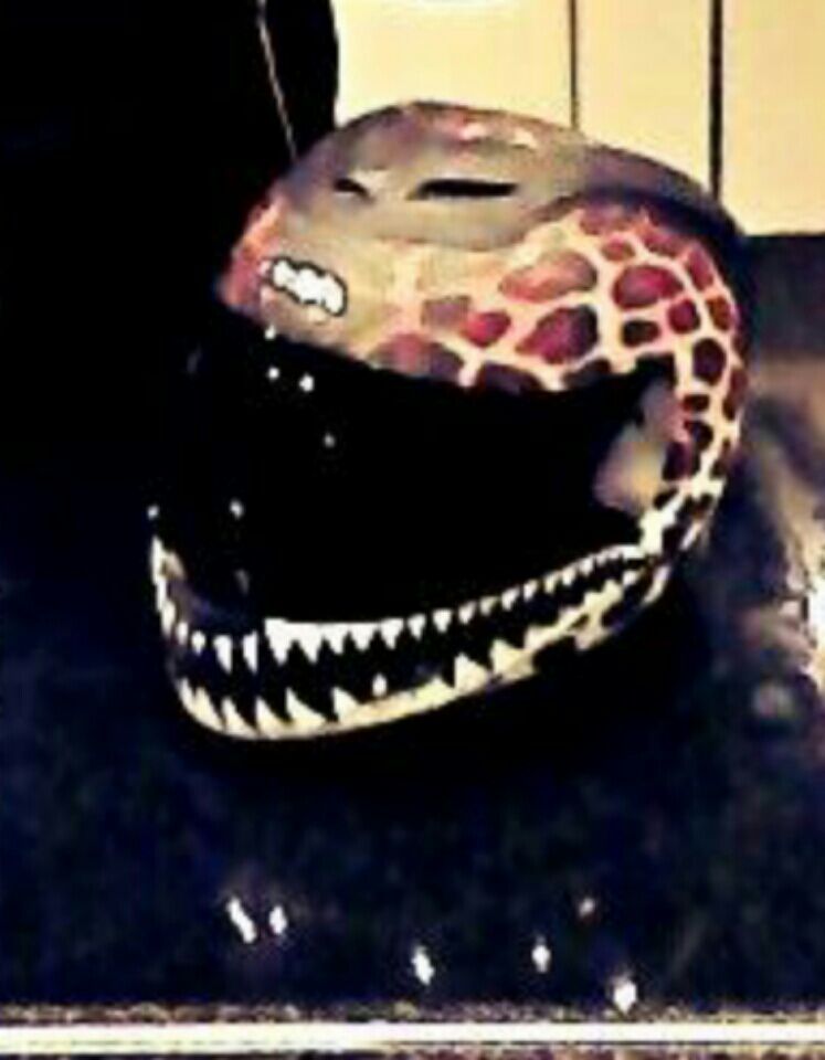 Icon cheetah print helmet