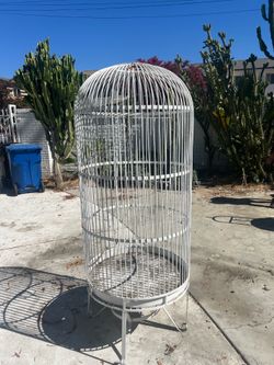 Birdcage