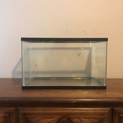 Fish Tank Never Used In Good Condition But Does Not Have The Top For It 