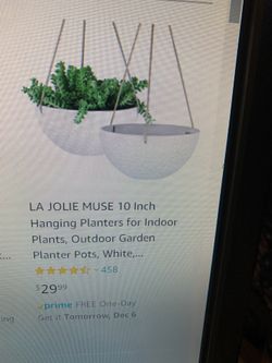New Hanging Planters