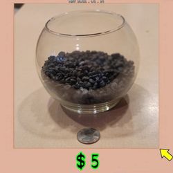Small Fish Bowl