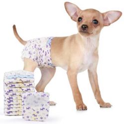 “New”Disposable Female Puppy Diaper(sz Sm)Super Absorbent (foam Tail Hole)50 Count