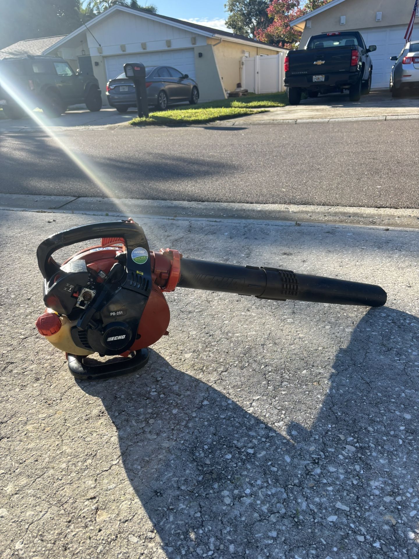 Echo Leaf Blower