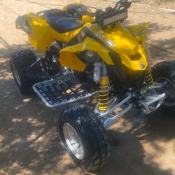 2010  Cam-am