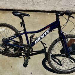 Giant XLC Junior 24 Light Eclipse