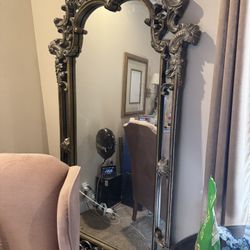 Very Large Mirror Has A Crap