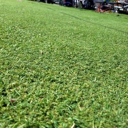 CHEAP ASTRO TURF!