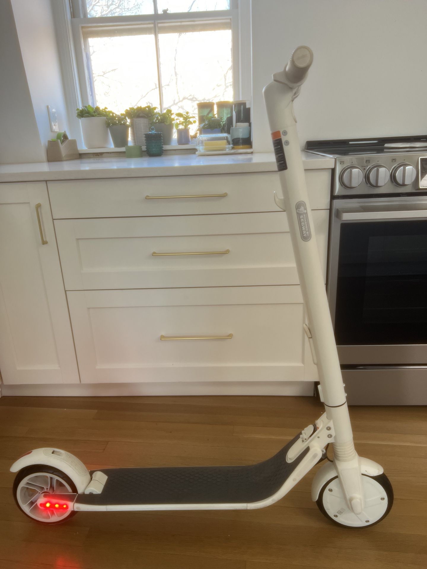 White Segway Ninebot Scooter