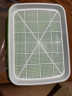 Seed Sprouting Tray with Mesh Grid