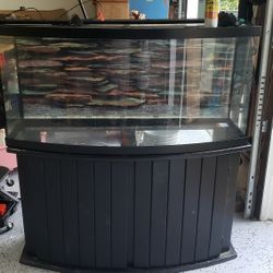 72 Gallom Bow Front Aquarium 