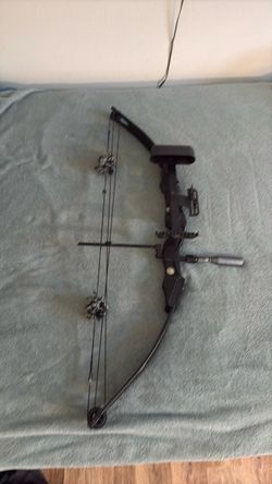 Black bear comp bow