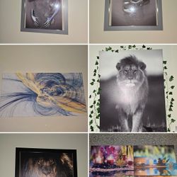 Hanging Wall Pictures