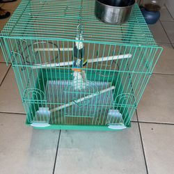 Preowned small green bird cage house