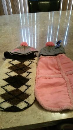 2 medium dog coats with 2 new hats
