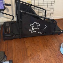 Dog Treadmill
