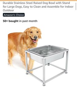 Stainless steel raised dog bowl with stand