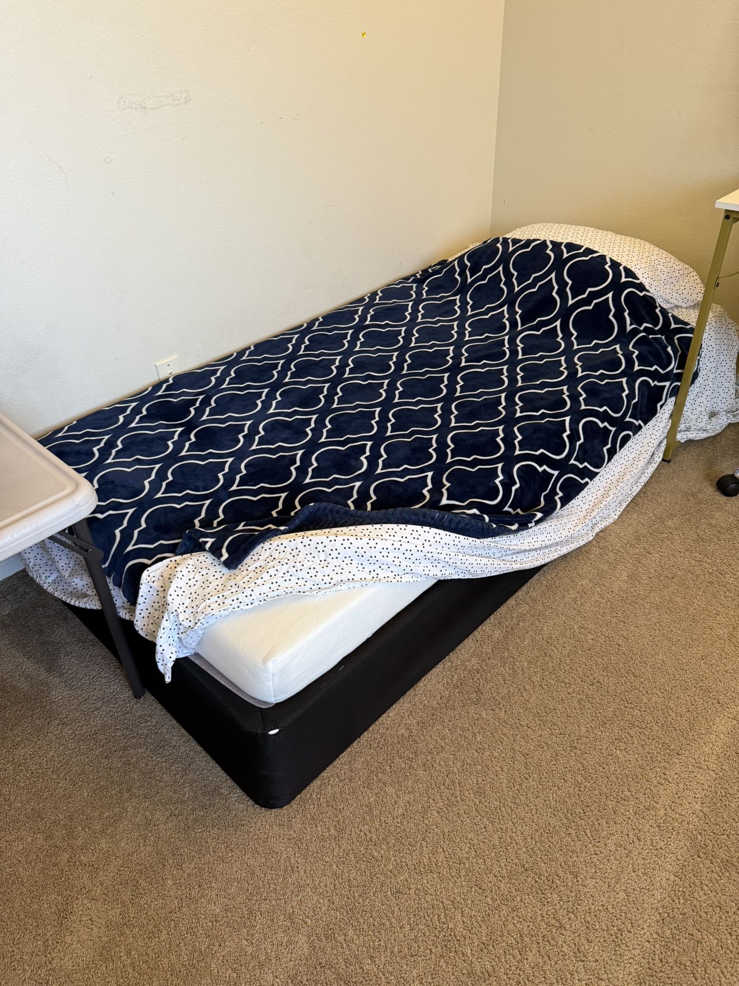 2 Twin XL Box Spring + Mattress