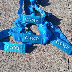 Camp Flog Gnaw Sunday GA Wristbands @ Venue NOW!!!!