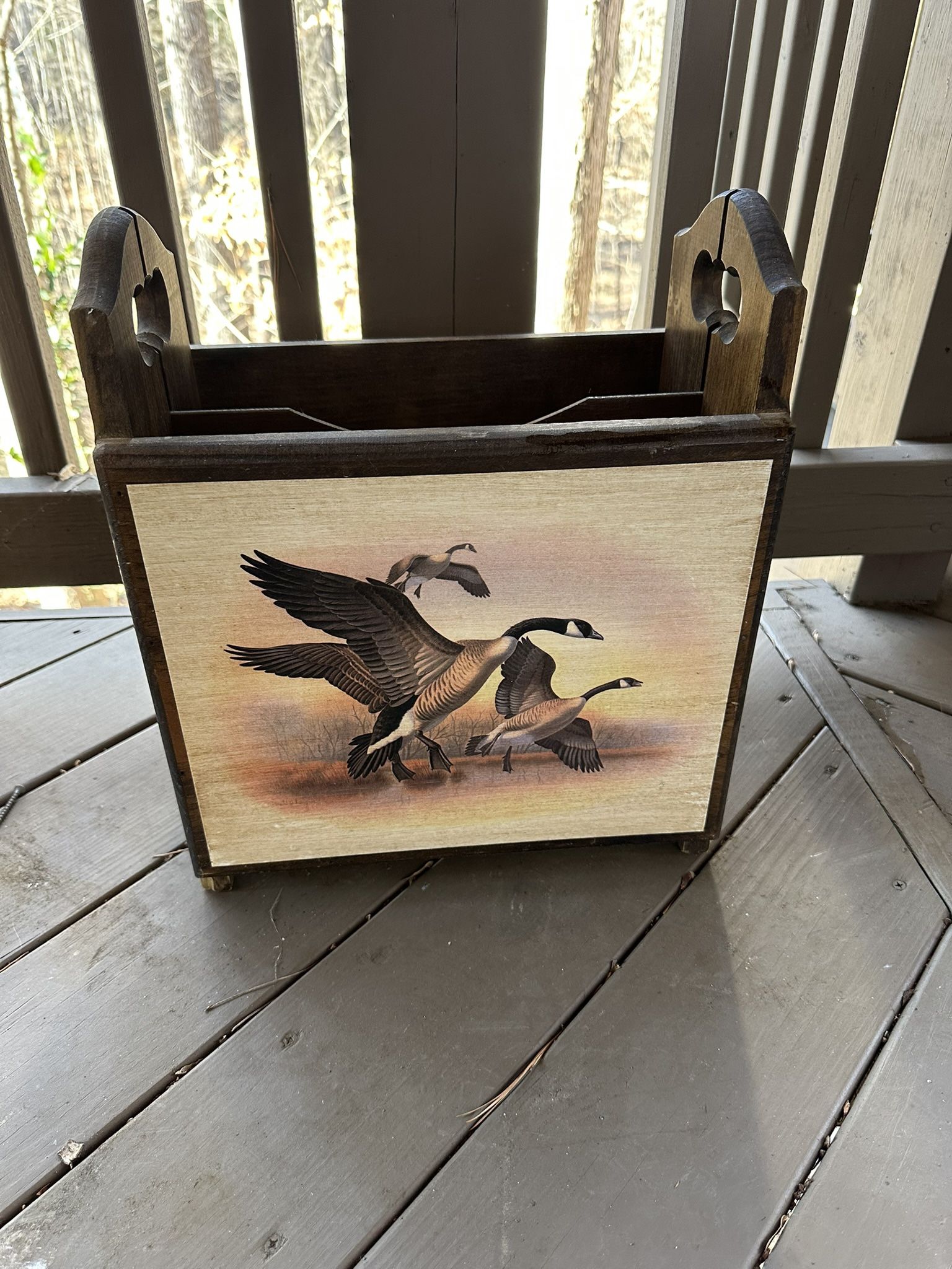 Duck Media Bin