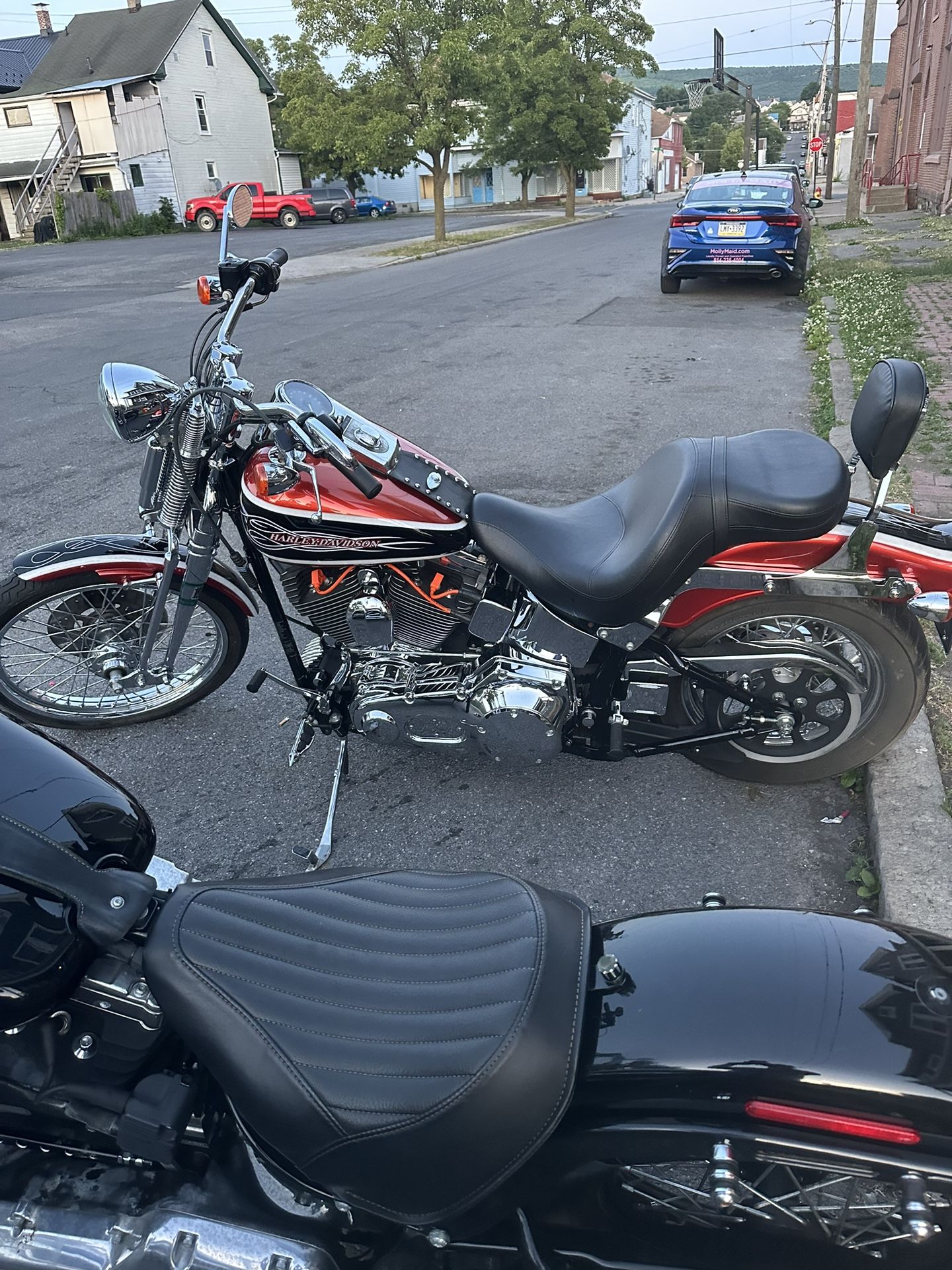 2005 Softail Springer
