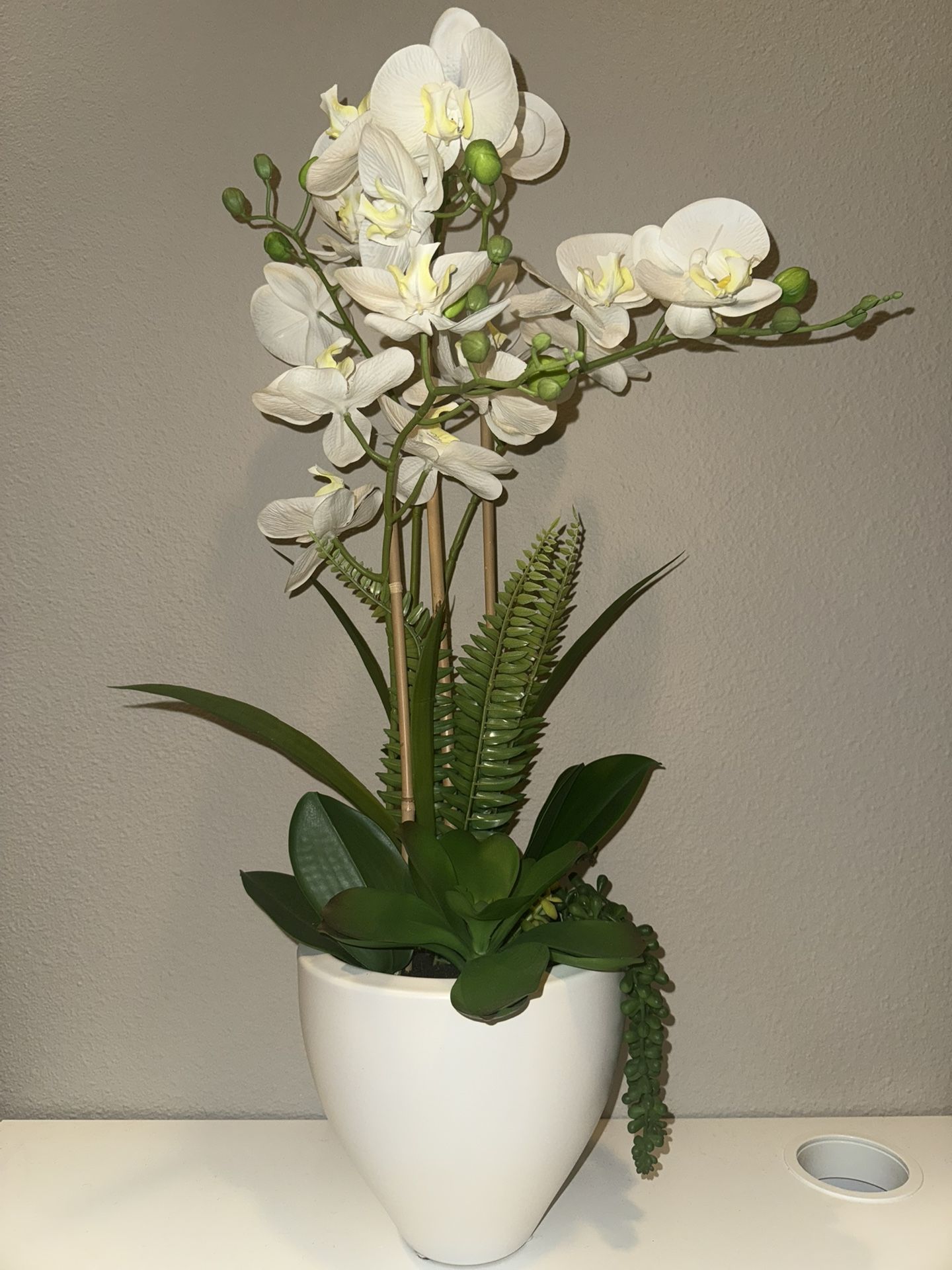 Fake Plant