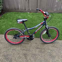 Schwinn Falcon 20 Inch Bike