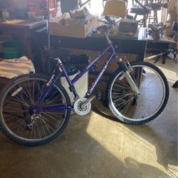 diamondback girls bicycle it’s in decent shape