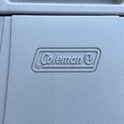 Coleman Electric Travel Cooler