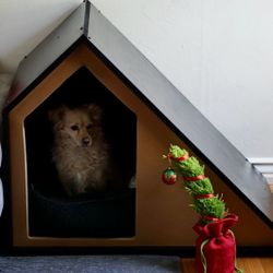 Custom Made Dog Houses To Fit Your Home Interior 