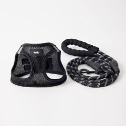 No Pull Dog Harness with Leash