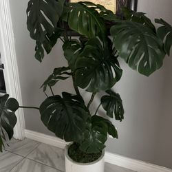 Artificial Faux Plant